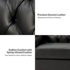 Brown / Camel / Navy / Dove / Burgundy / Sage / Black / Beige Transitional Genuine Leather 2-Seat Sofa