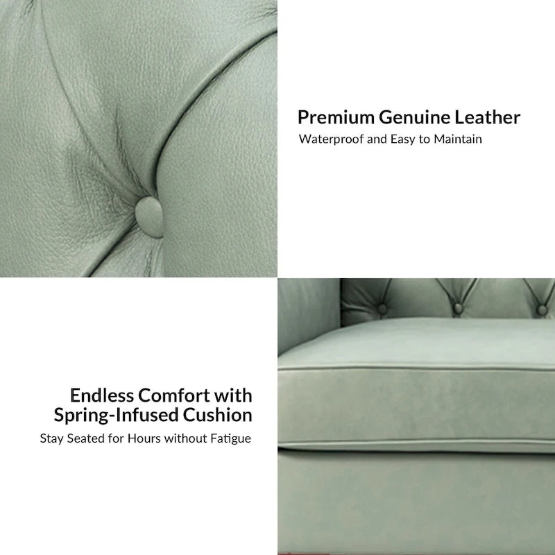 Brown / Camel / Navy / Dove / Burgundy / Sage / Black / Beige Transitional Genuine Leather 2-Seat Sofa
