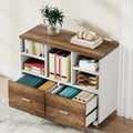 Oak/Gray/Brown Mobile File Cabinet – 2 Drawers & 5 Shelves, 1-Person Use